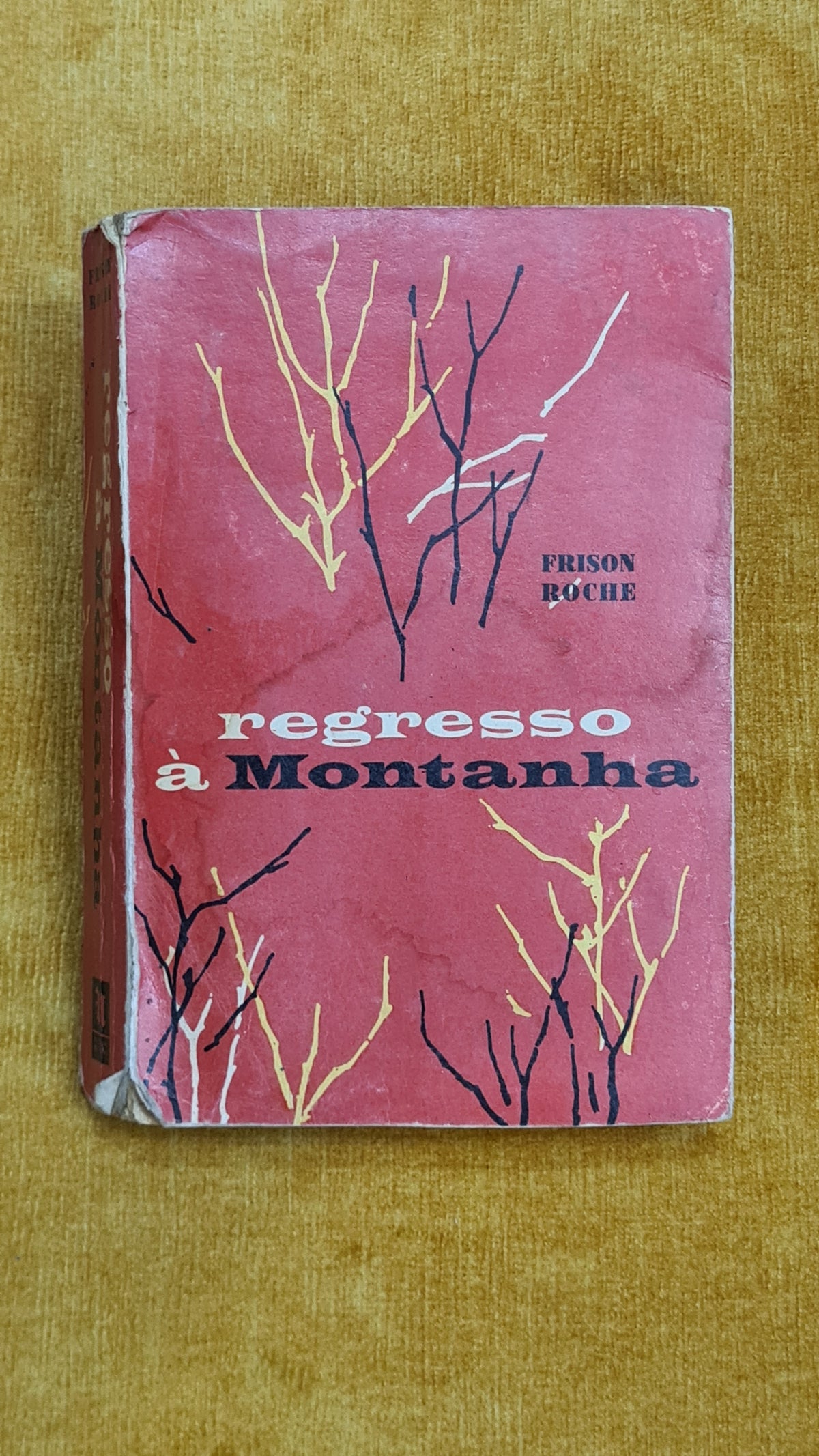 Regresso à montanha