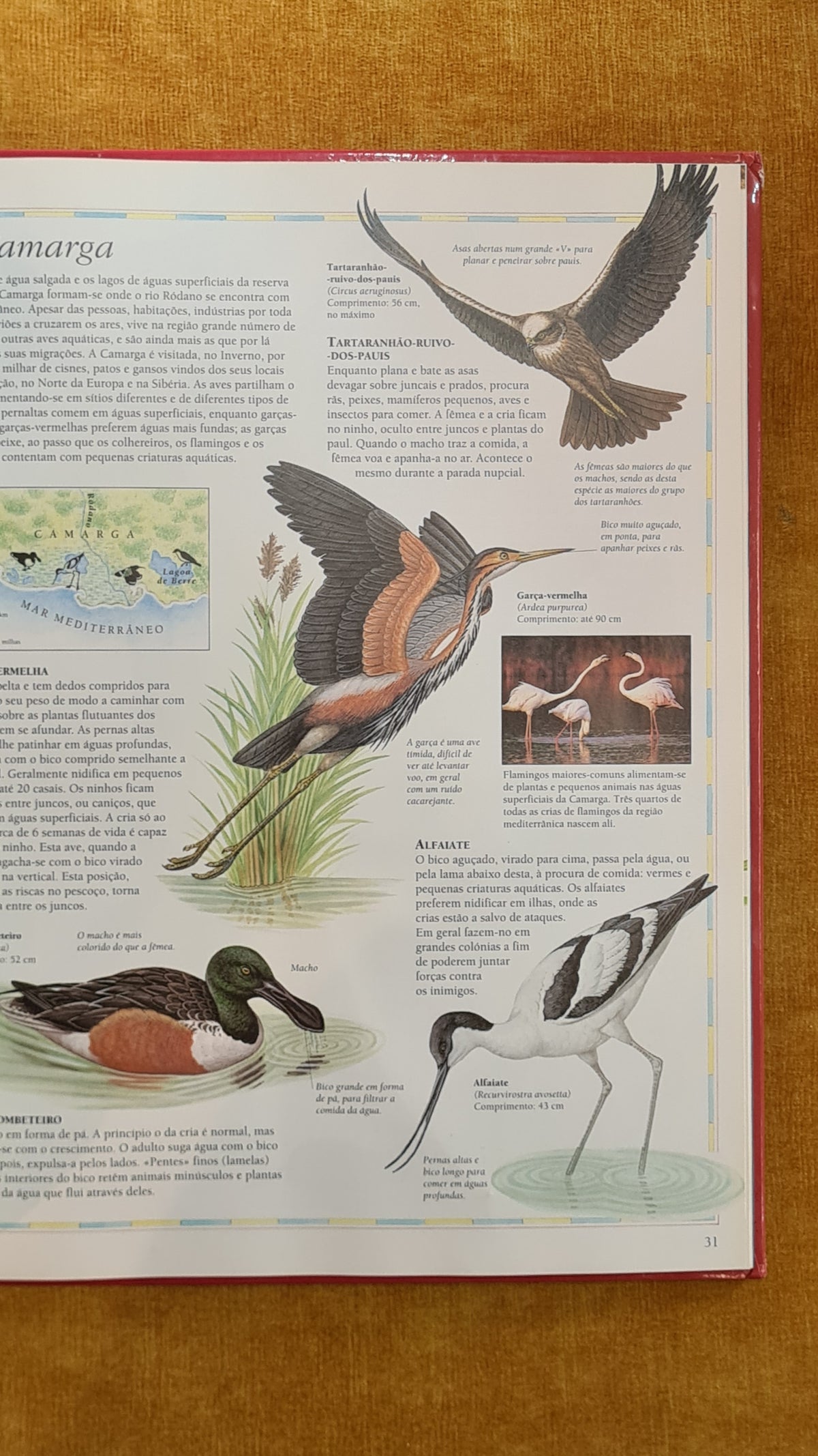 Atlas das Aves