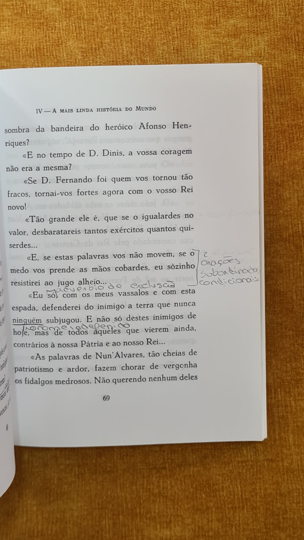 Os Lusíadas de Luís de Camões contados às crianças e lembrados ao povo