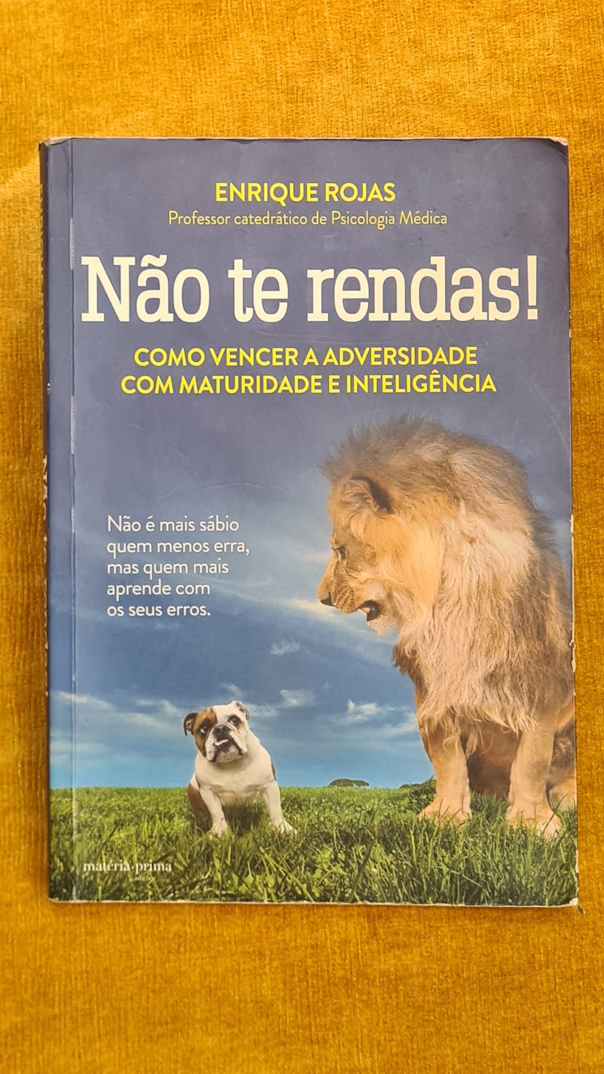 Não te rendas!: como vencer a adversidade com maturidade e inteligência