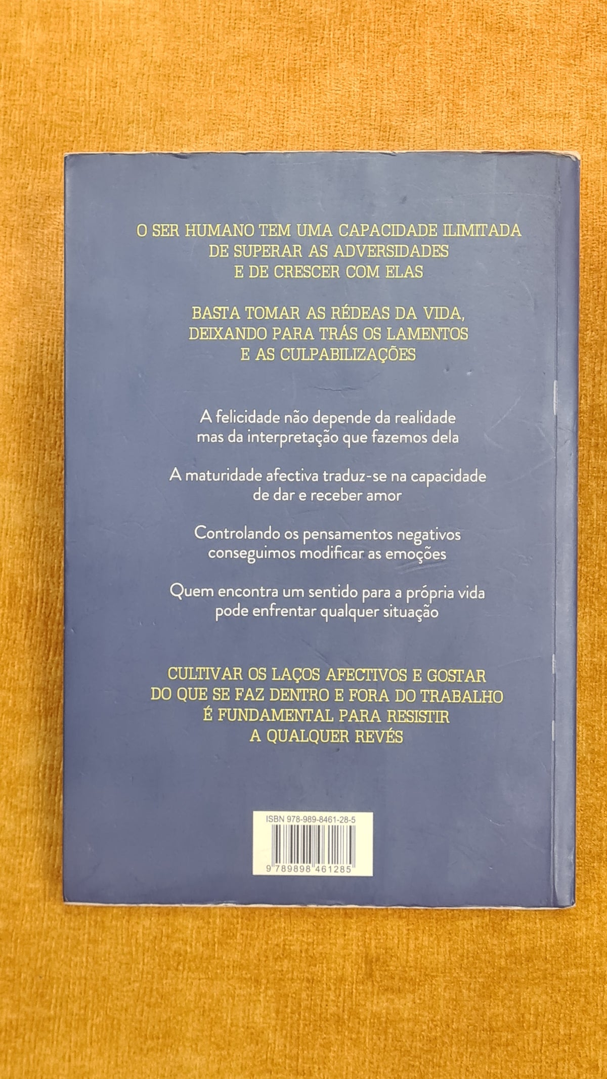 Não te rendas!: como vencer a adversidade com maturidade e inteligência
