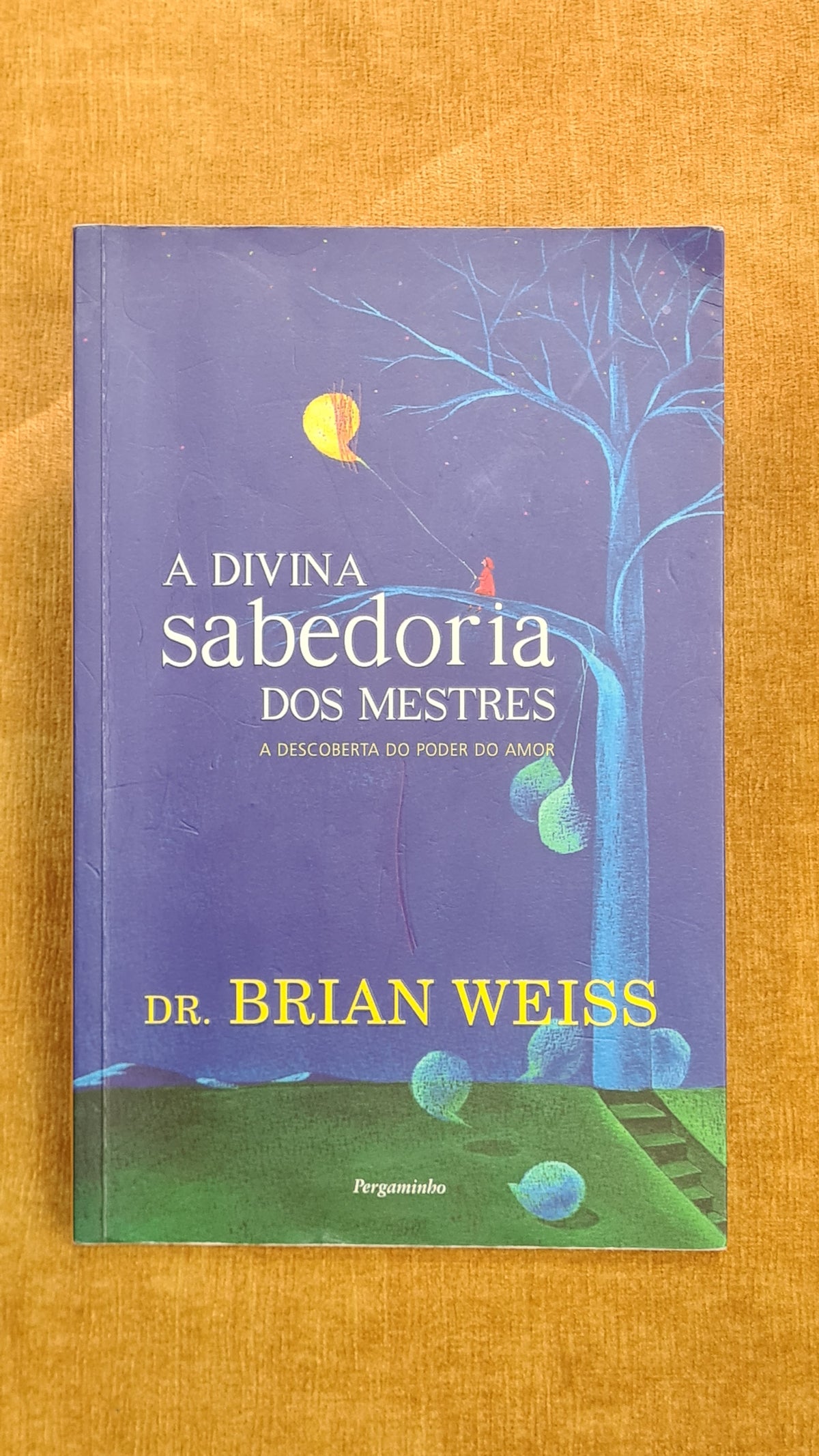 A divina sabedoria dos mestres: a descoberta do poder do amor