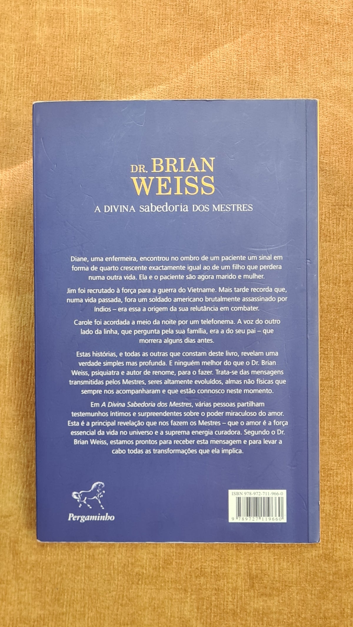 A divina sabedoria dos mestres: a descoberta do poder do amor