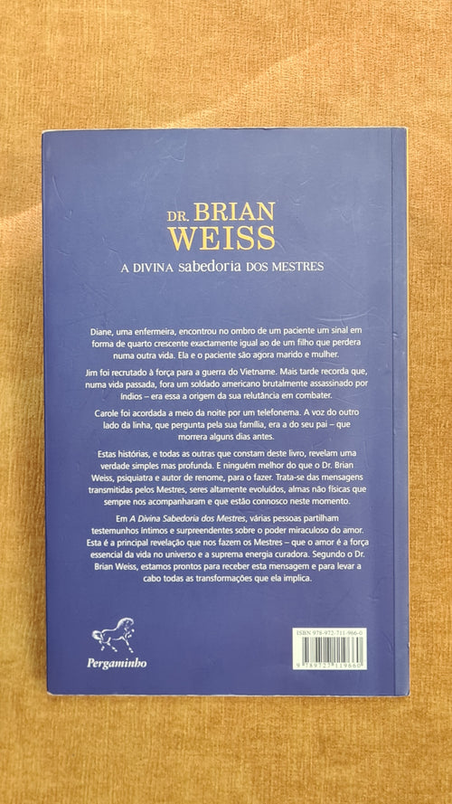A divina sabedoria dos mestres: a descoberta do poder do amor