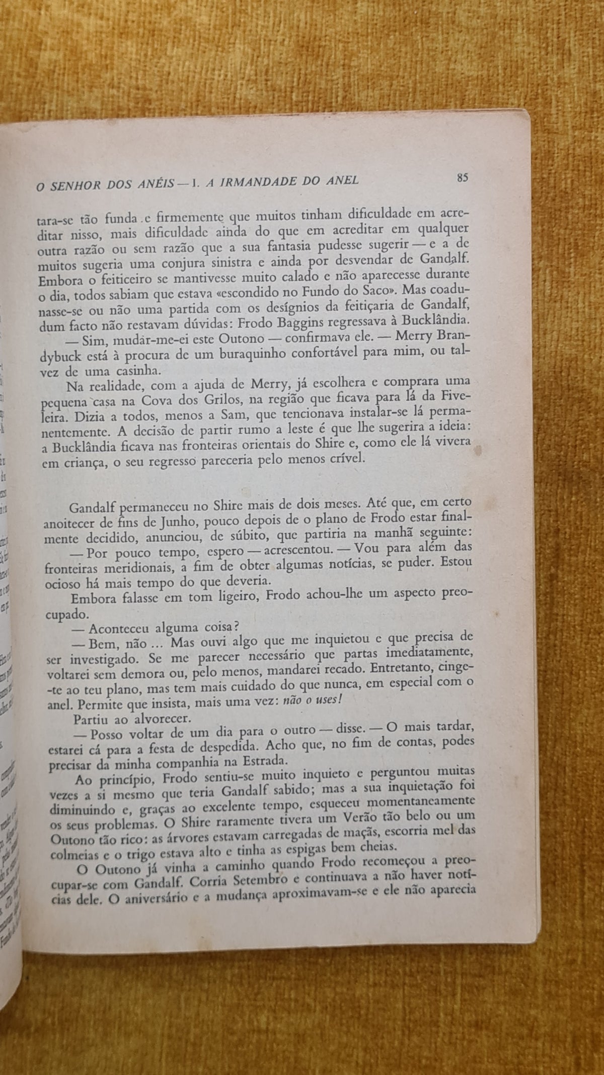O senhor dos aneis: A irmandade do anel - Colecção século XX 180