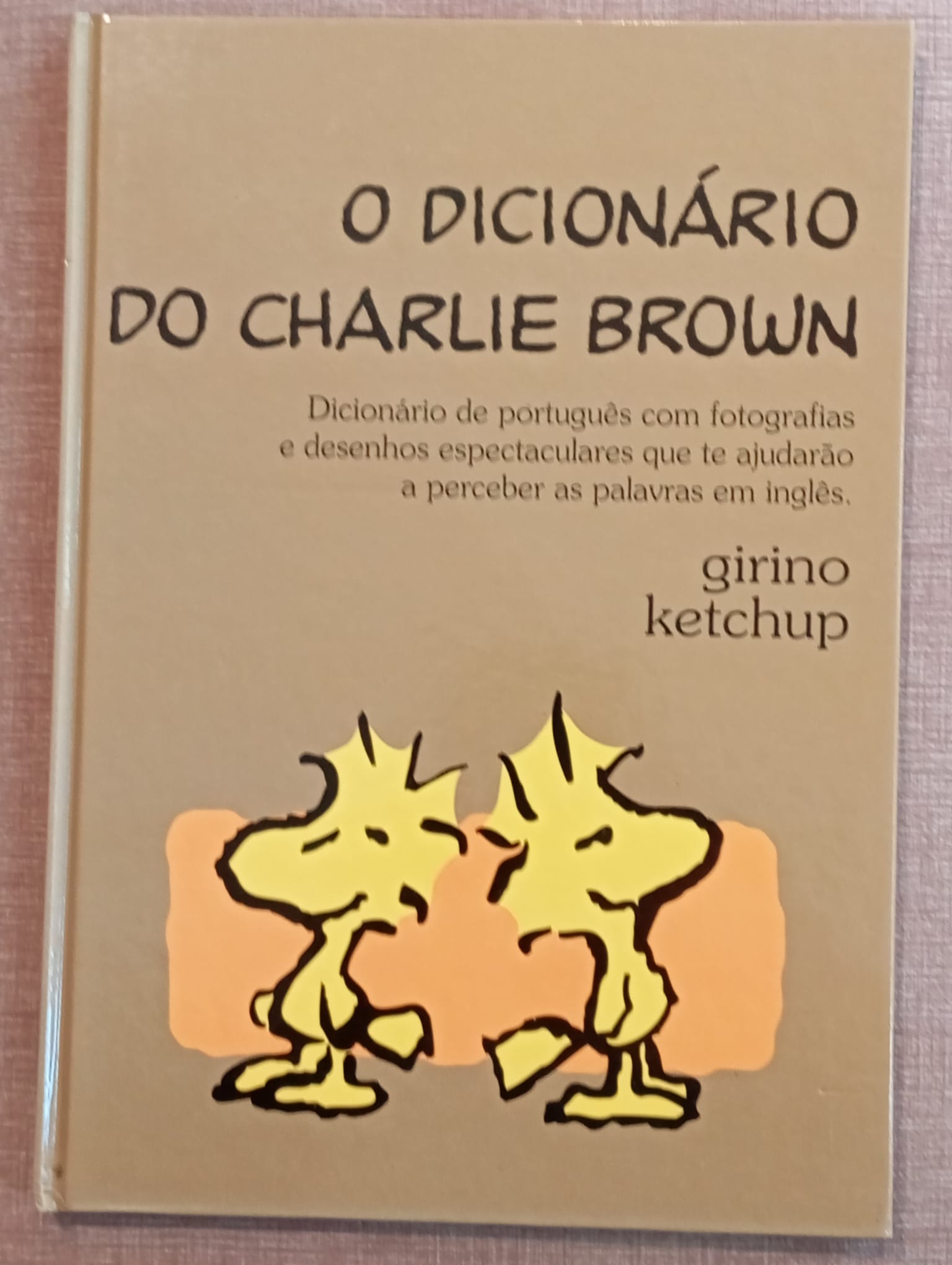 Charlie Brown's Dictionary 9