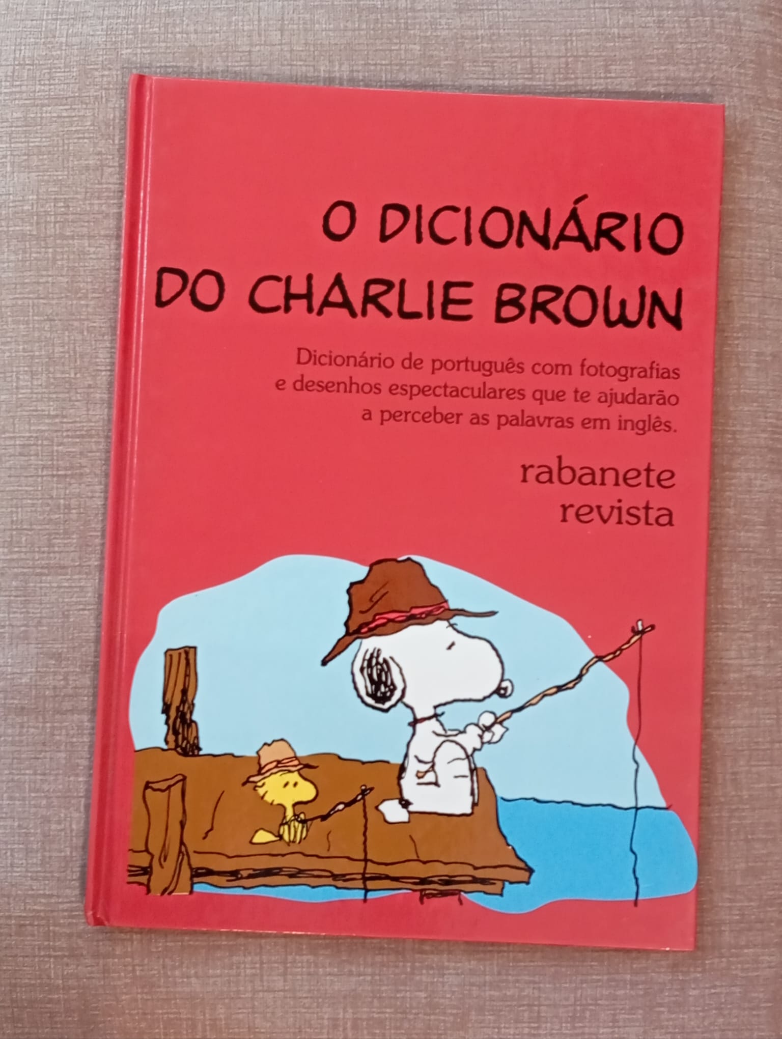 O dicionário do Charlie Brown 13