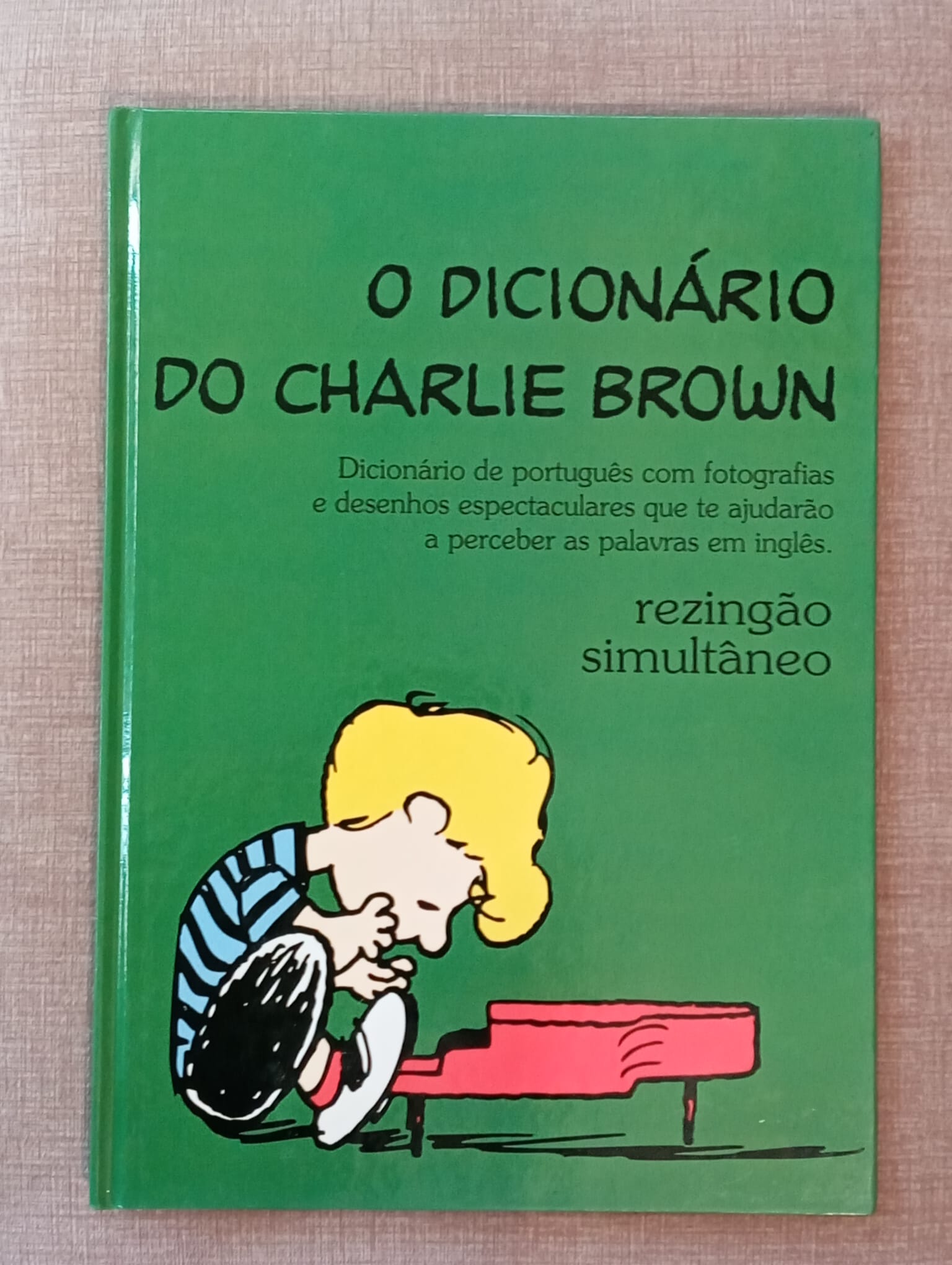 O dicionário do Charlie Brown 14