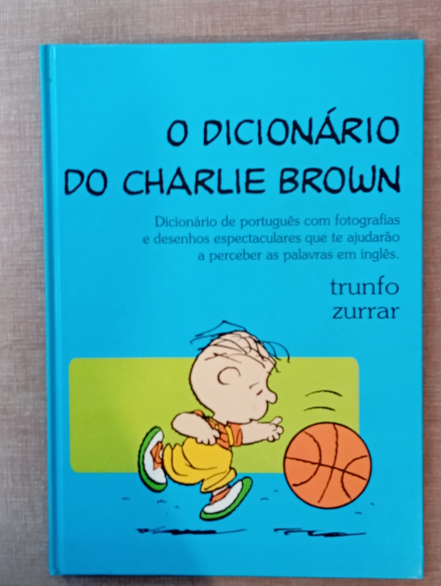 O dicionário do Charlie Brown 16