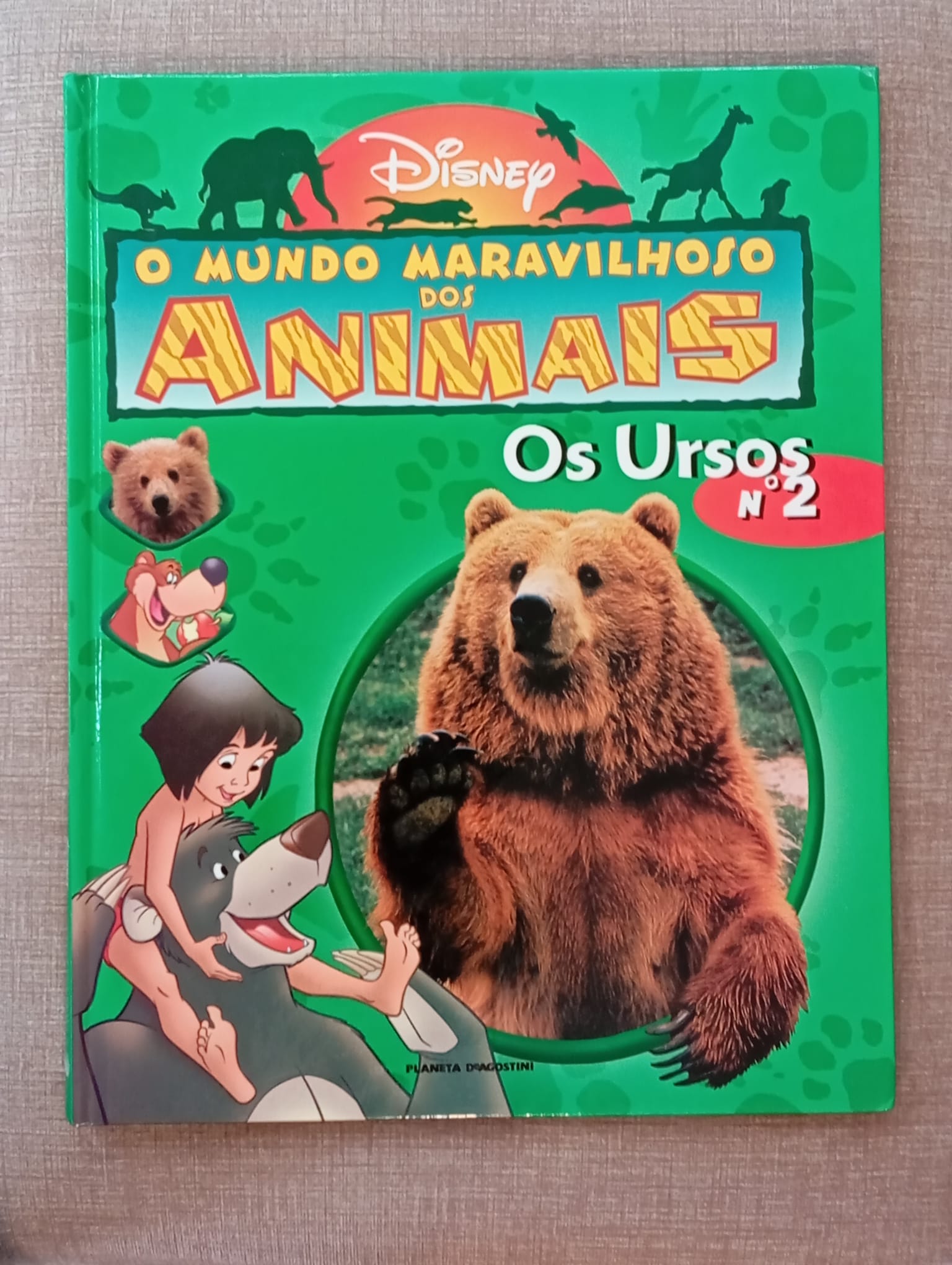 O mundo maravilhoso dos animais 2 - Os ursos