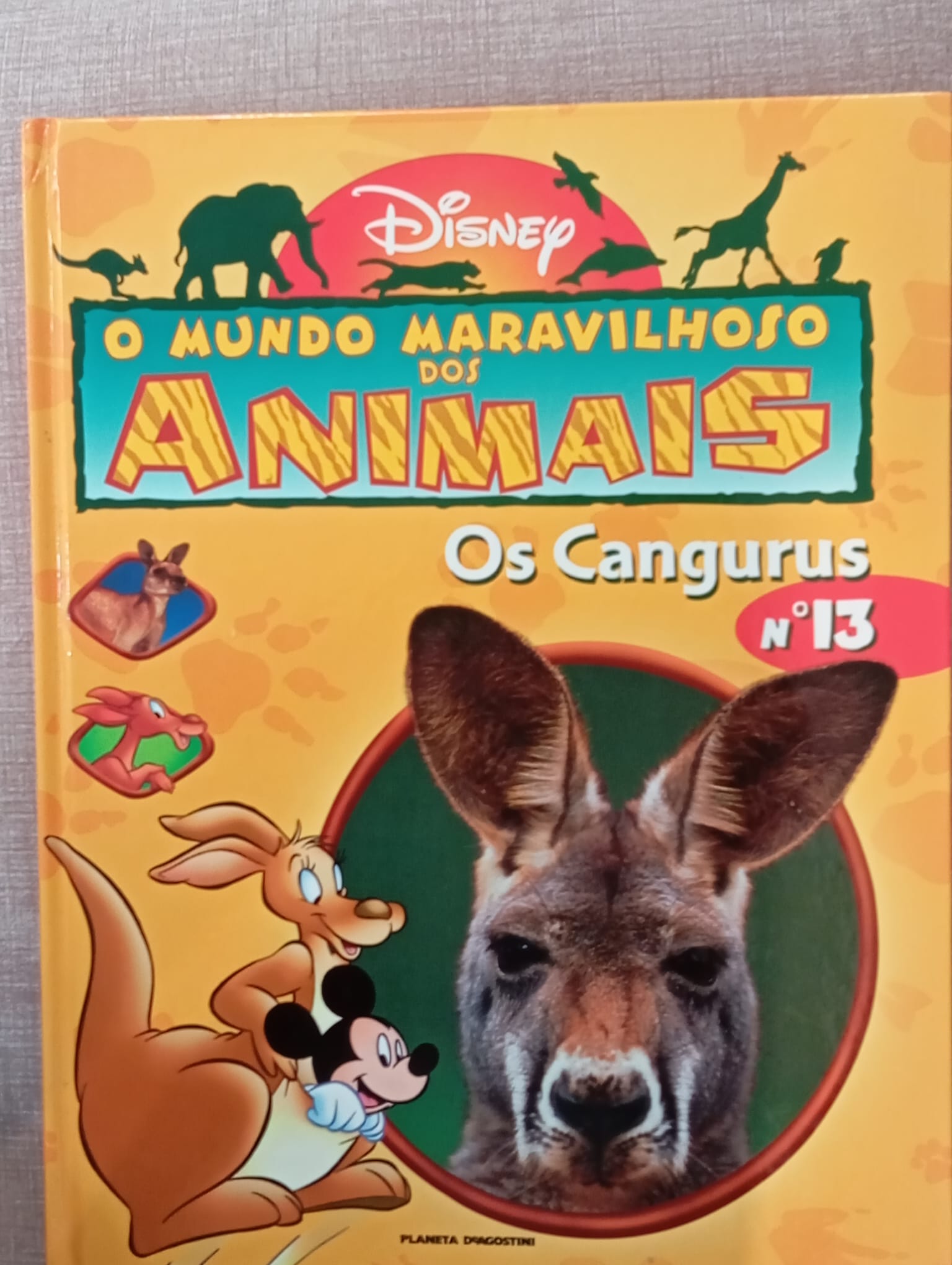 O mundo maravilhoso dos animais 13 - Os cangurus