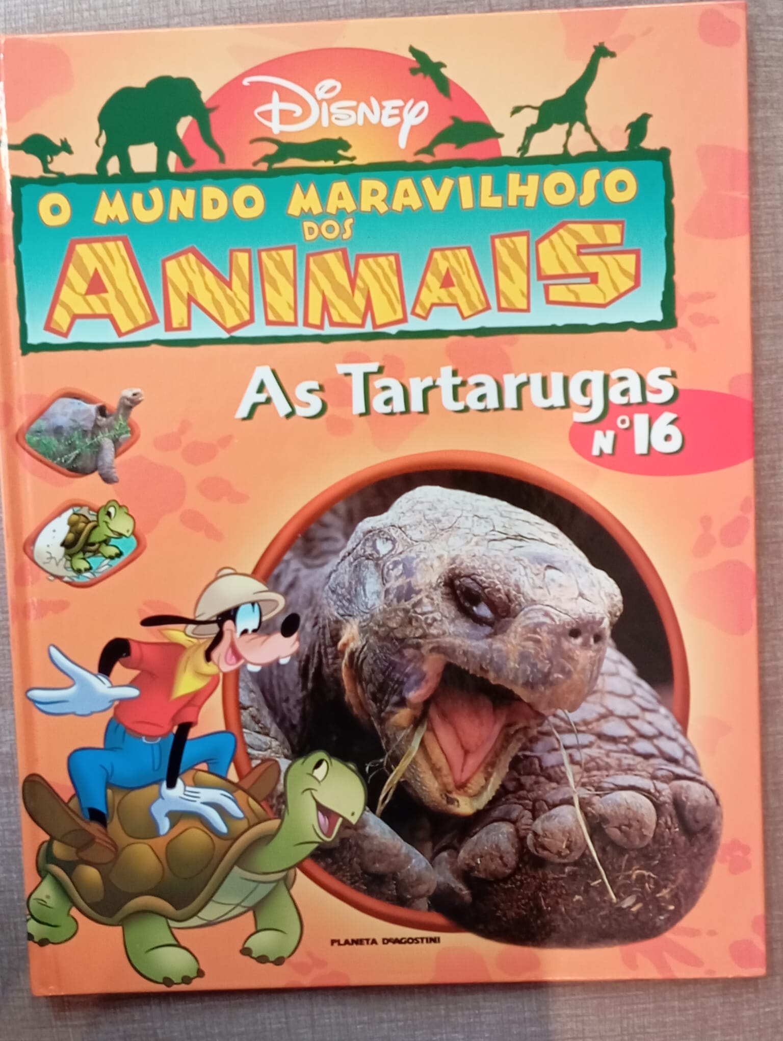 O mundo maravilhoso dos animais 16 - As tartarugas